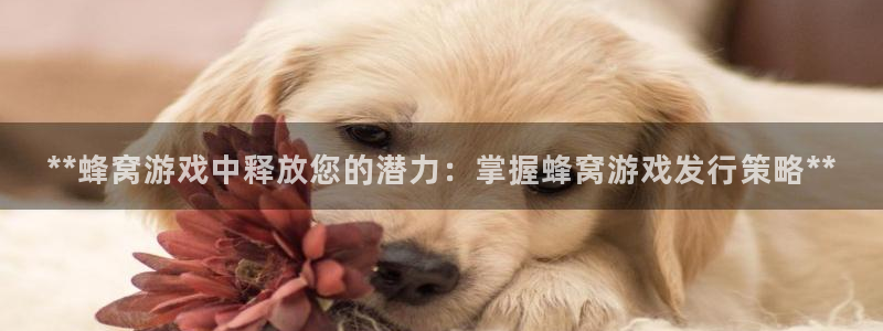 天辰娱乐平台账号注册地址是多少号：**蜂窝游戏中释放您的潜力：掌握蜂窝游戏发行策略**