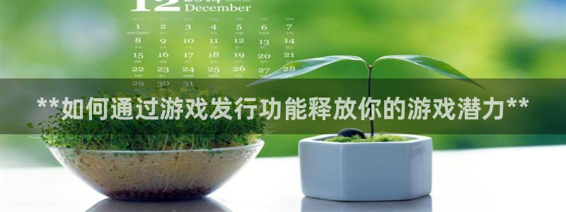 天辰登陆倮偻2o5026：**如何通过游戏发行功能释放你的游戏潜力**