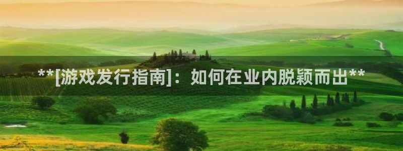 天辰会员注册链接怎么弄：**[游戏发行指南]：如何在业内脱颖而出**