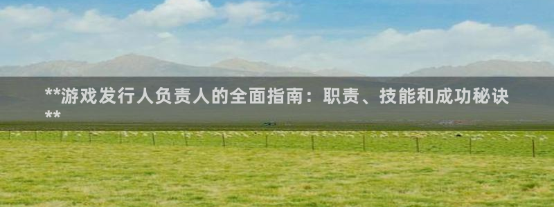 天辰平台注册地址在哪里查：**游戏发行人负责人的全面指南：职责、技能和成功秘诀
**