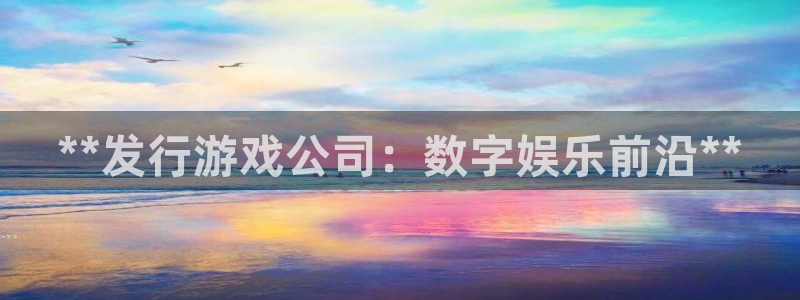 天辰平台网址是什么：**发行游戏公司：数字娱乐前沿**