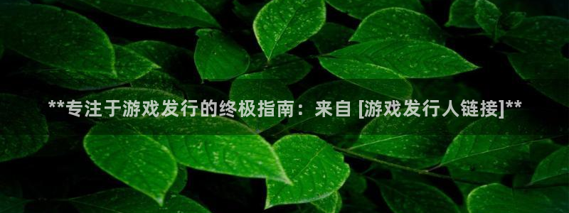 天辰平台财 5o69I7：**专注于游戏发行的终极指南：来自 [游戏发行人链接]**