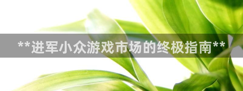 天辰平台专用注册通道安全吗：**进军小众游戏市场的终极指南**
