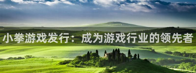 天辰娱乐孩7O777：小拳游戏发行：成为游戏行业的领先者