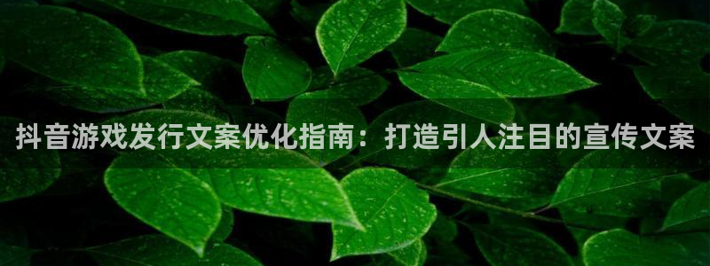 天辰账号：抖音游戏发行文案优化指南：打造引人注目的宣传文案