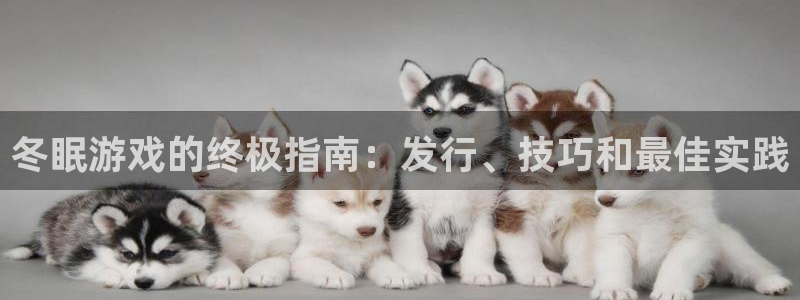 天辰注册会员登录地址：冬眠游戏的终极指南：发行、技巧和最佳实践