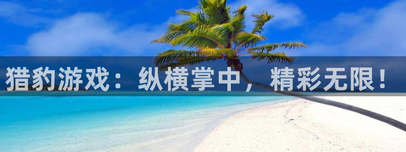 天辰平台招商1111怎么样啊：猎豹游戏：纵横掌中，精彩无限！