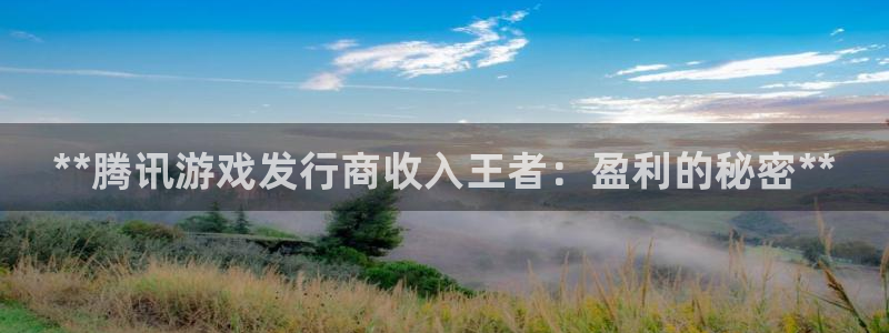 天辰平台用户注册不了：**腾讯游戏发行商收入王者：盈利的秘密**