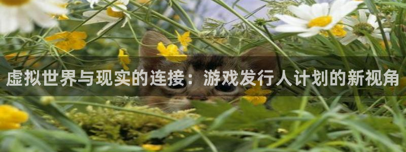 天辰平台怎么样可靠吗：虚拟世界与现实的连接：游戏发行人计划的新视角