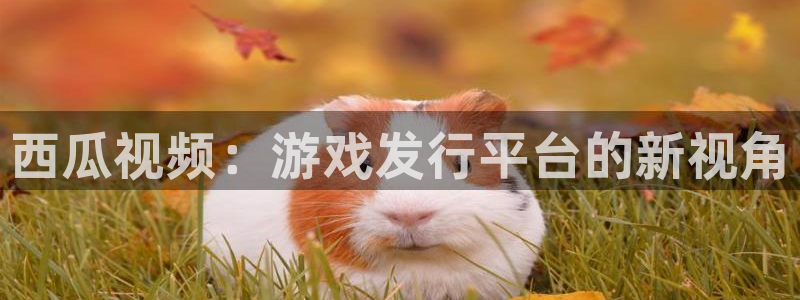 天辰平台用户登录入口网址：西瓜视频：游戏发行平台的新视角