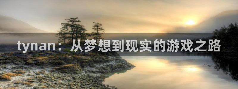 天辰平台用户：tynan：从梦想到现实的游戏之路