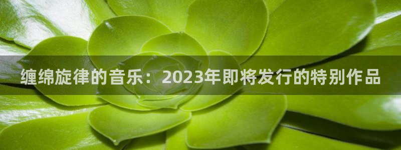 天辰注册会员有什么用：缠绵旋律的音乐：2023年即将发行的特别作品