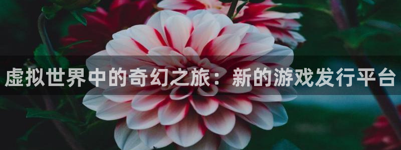 天辰平台用户注册流程：虚拟世界中的奇幻之旅：新的游戏发行平台