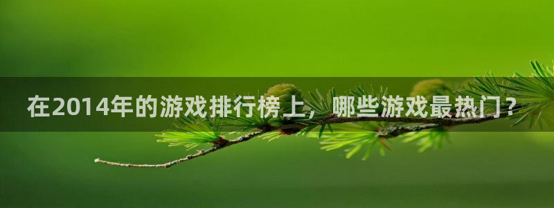 天辰平台专用通道安全稳定：在2014年的游戏排行榜上，哪些游戏最热门？