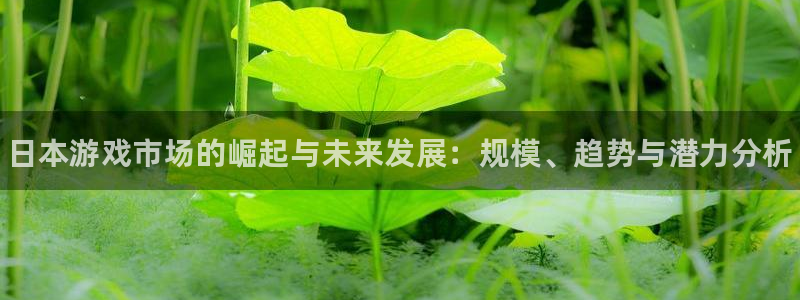 浙江天辰测控科技有限公司：日本游戏市场的崛起与未来发展：规模、趋势与潜力分析