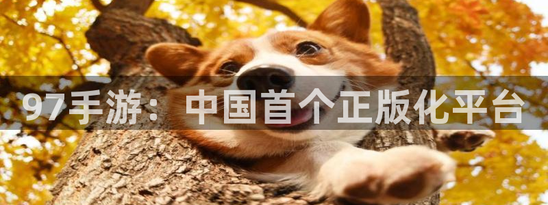 天辰平台用户登录不上怎么办