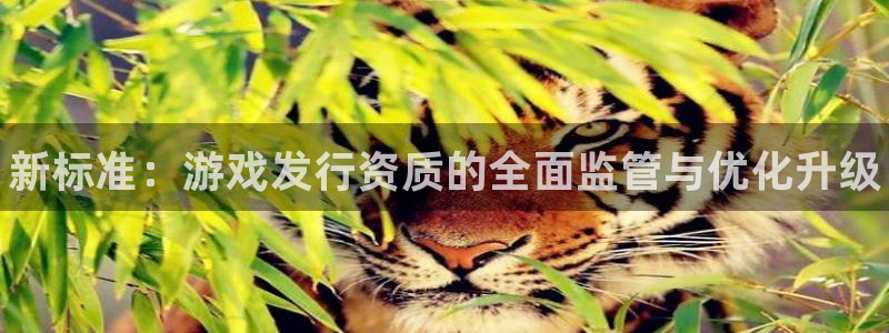 天辰平台会员多少钱一个：新标准：游戏发行资质的全面监管与优化升级