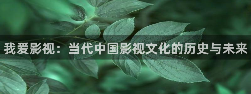 四库影院地址：我爱影视：当代中国影视文化的历史与未来