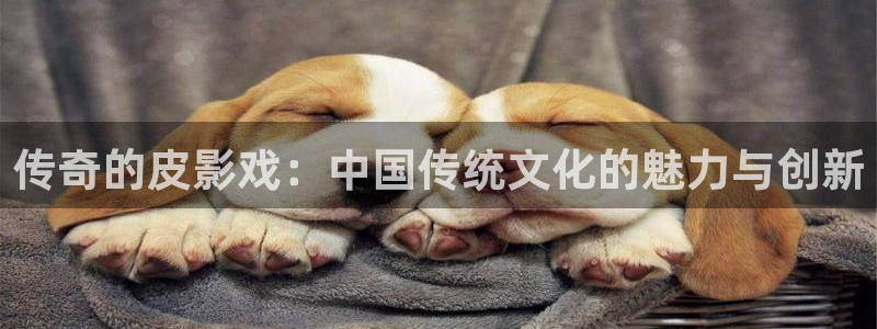 四库影院在线：传奇的皮影戏：中国传统文化的魅力与创新