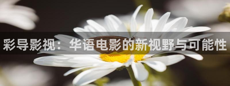 四库影视在线观看：彩导影视：华语电影的新视野与可能性