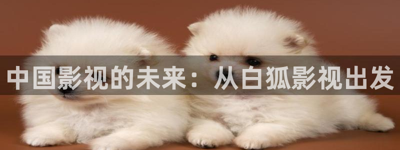 四库影视：中国影视的未来：从白狐影视出发