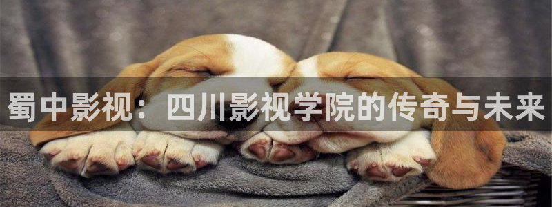 四库影院成人：蜀中影视：四川影视学院的传奇与未来