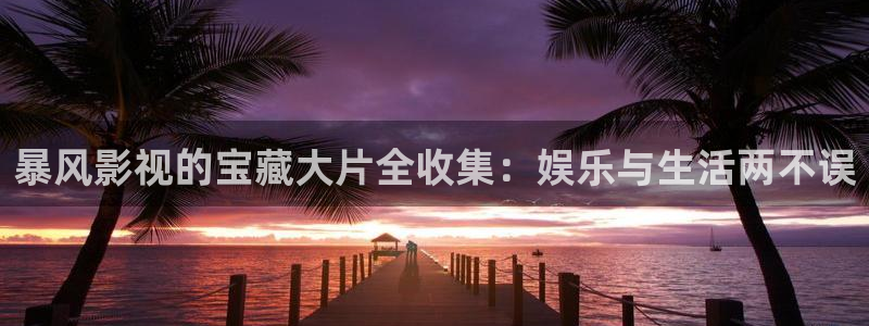 四库影院永久地址www：暴风影视的宝藏大片全收集：娱乐与生活两不误