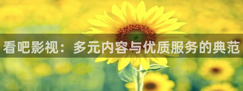 四库影院永久在线影院：看吧影视：多元内容与优质服务的典范