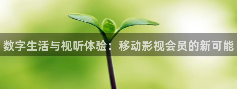 四库影院精品在线：数字生活与视听体验：移动影视会员的新可能
