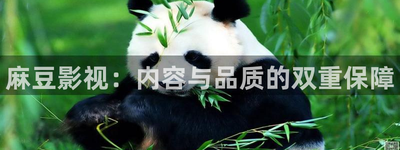 四库影院的地址：麻豆影视：内容与品质的双重保障