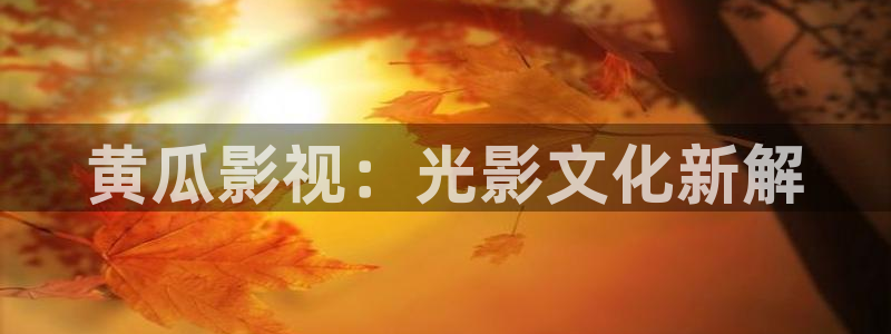 四库影院最新网址：黄瓜影视：光影文化新解