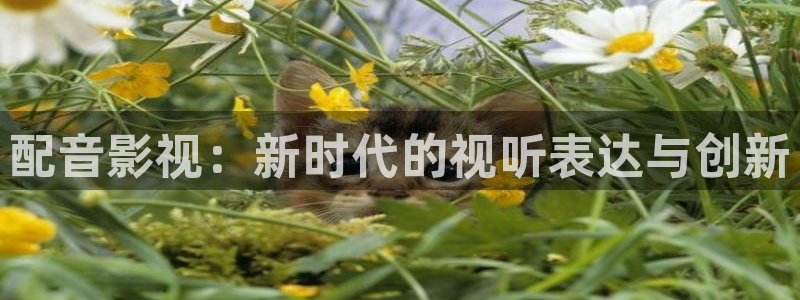 四库影院精品在线：配音影视：新时代的视听表达与创新