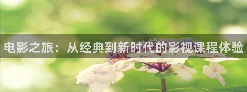 四库影院4：电影之旅：从经典到新时代的影视课程体验