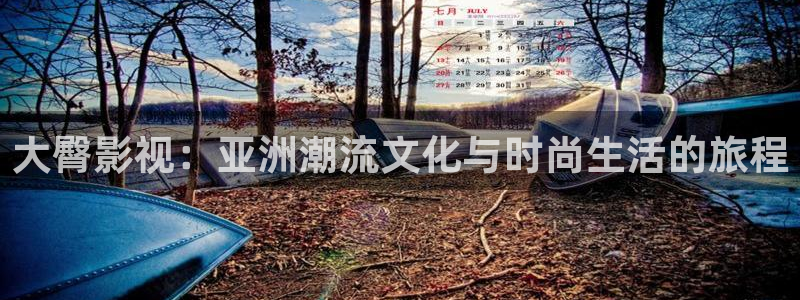 四库影视在线：大臀影视：亚洲潮流文化与时尚生活的旅程