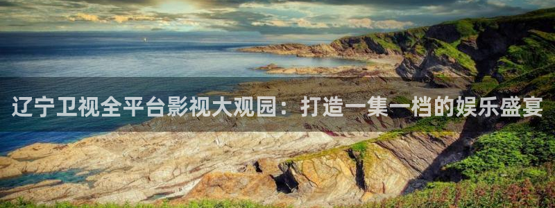 四库影院永久在线影院：辽宁卫视全平台影视大观园：打造一集一档的娱乐盛宴