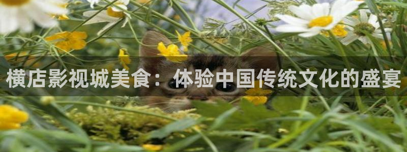 四库影院最近有啥新电影：横店影视城美食：体验中国传统文化的盛宴